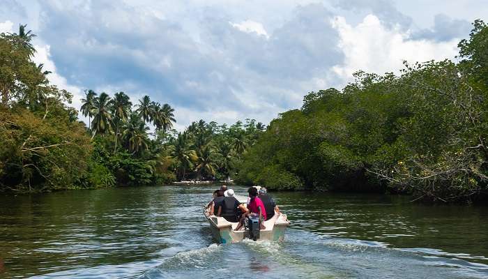 River safari view on Day Trips From Bentota