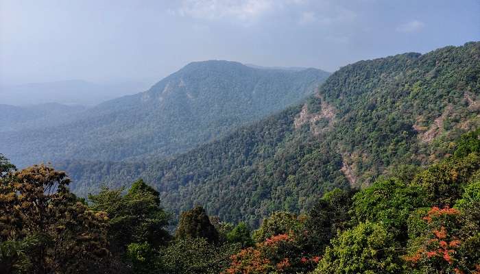 Hills of Agumbe, one of the most scenic places to visit in India