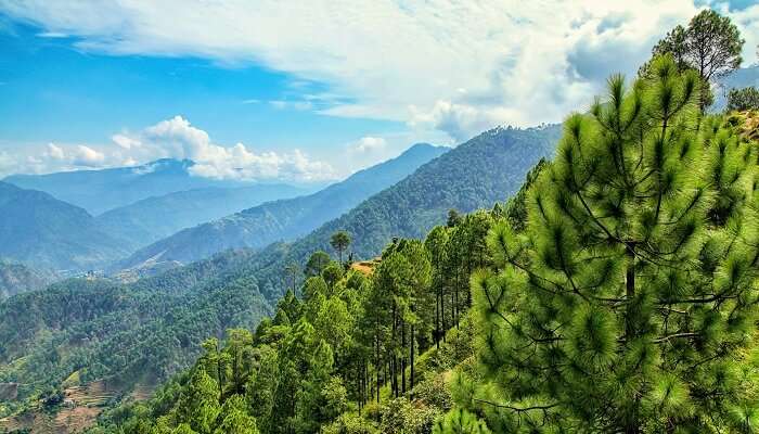 Almora- Places To Visit In India