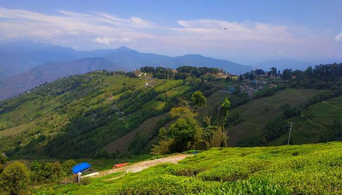 The world famous tea gardens of Darjeeling are a must visit, one of the best places to visit in August in India..