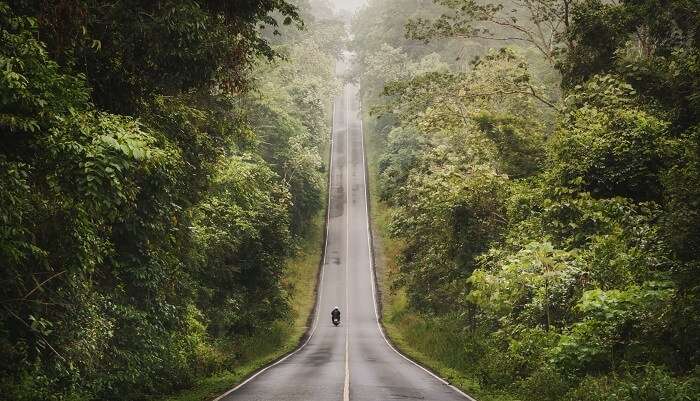 Biker is riding a motorcycle on the road