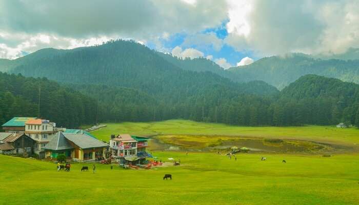 Meadows of Khajjiar: one of the best places to visit in India