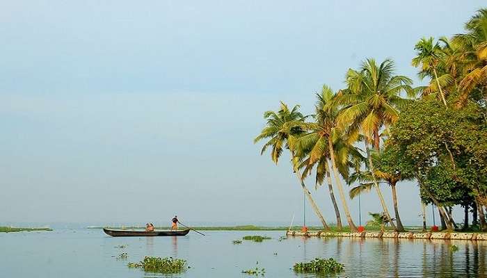 A beautiful backwater destination in Kerala, Kumarakom is one of the  best places to visit in August in India.