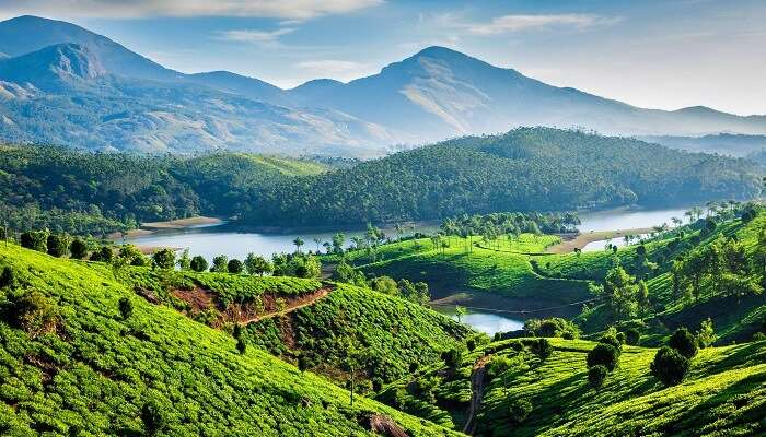 Take a tour of tea plantations on 2 days trip from Bangalore