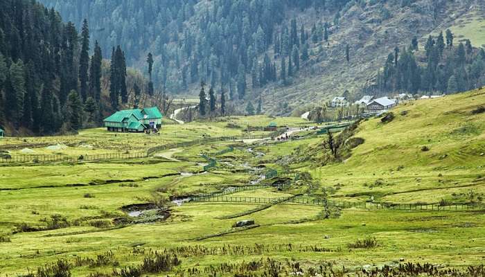 Valley in Pahalgam: One of the best places to visit in India