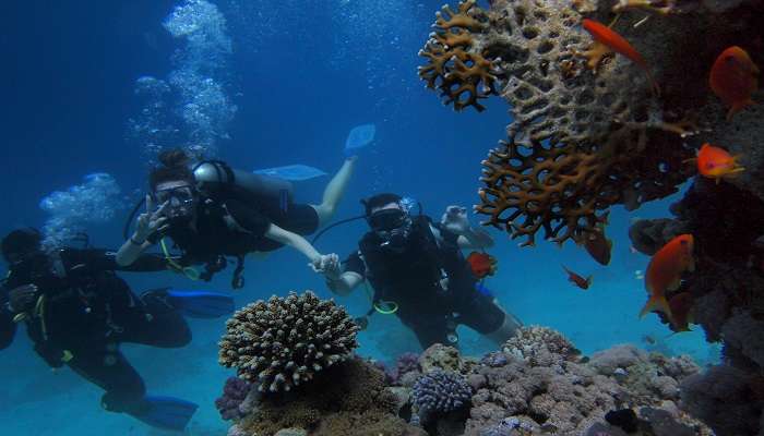 Snorkeling In Israel