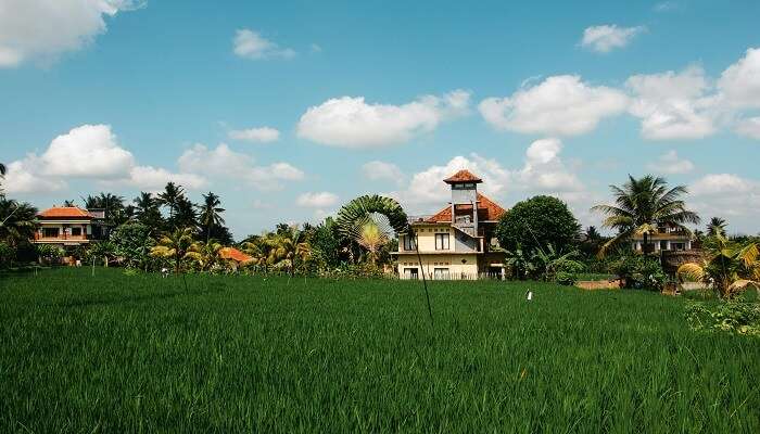 Ubud Celuk Village