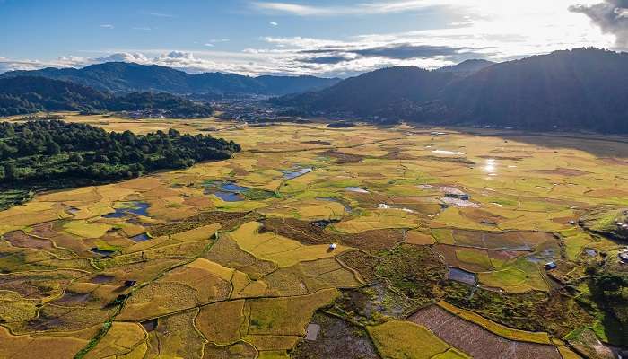 Ziro is one of the best places to visit in September 