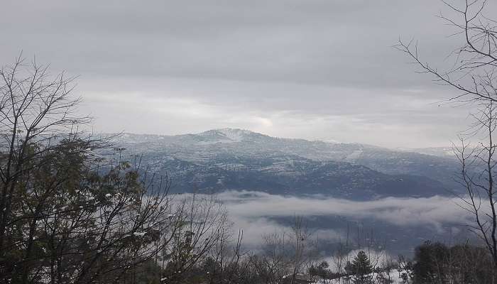 snowfall in Kashmir