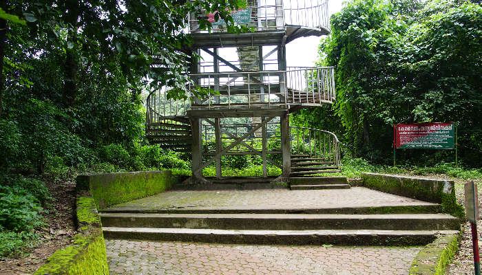 Conolly’s Plot is one of the famous places in Nilambur to spend a relaxing day