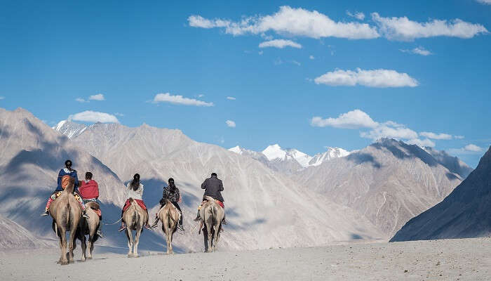 one of the best things to explore on your way from Leh to Nubra Valley