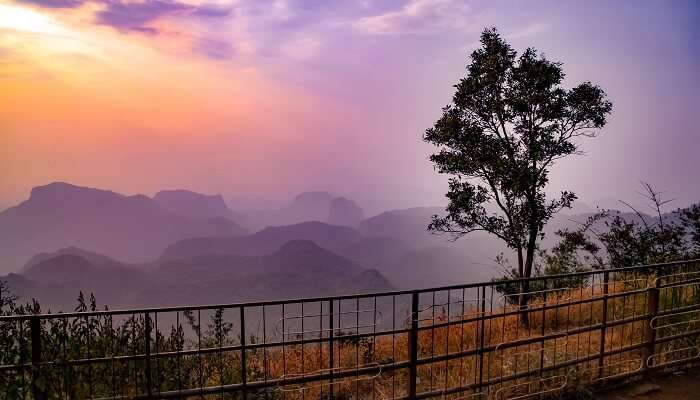 popular hill stations near Indore to plan your getaways.