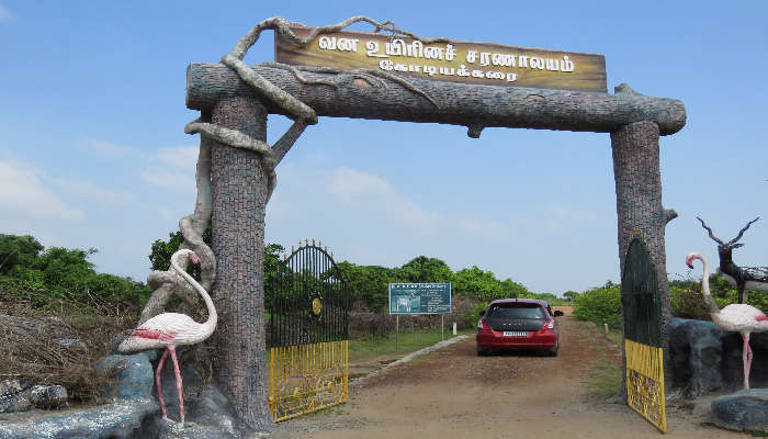 Entrance gate of the famous Kodikkarai Wildlife Sanctuary