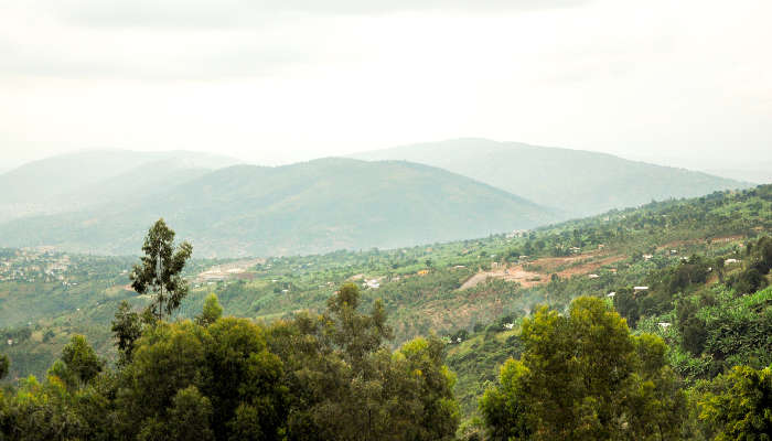Panoramic views from the Melagiri Hills