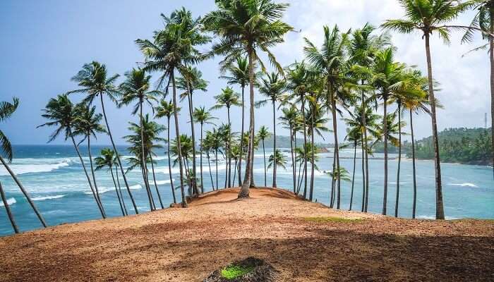 Incorporat Mirissa into your Sri Lanka bike tour and soak in the delightful vibes of the tropical landscape