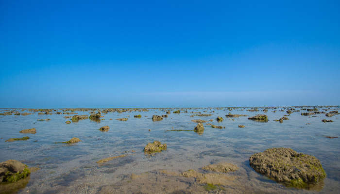 Marine National Park, one of the best places to visit in Jamnagar