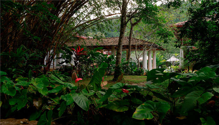 A popular place to stay in Unawatuna. 