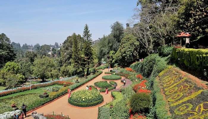 Embark on an exciting toy train journey in Ooty