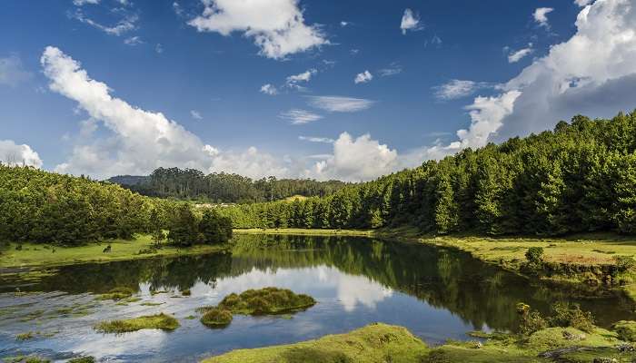 The pristine lake is counted as a best place to visit in Ooty in 2 days. 
