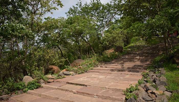 The wildlife sanctuary is one of the best places to visit near Indore.