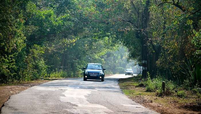 A car on the Shivamogga route on a Bangalore to Goa road trip