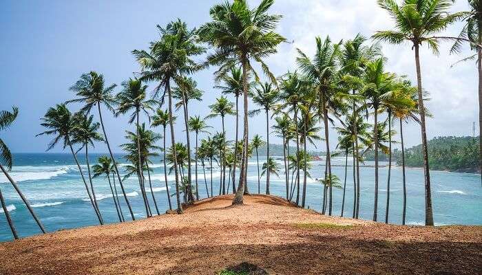 This is one of the most tranquil beaches in Sri Lanka