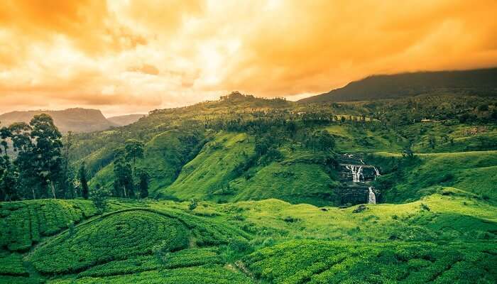 Hills Of Sri Lanka is surrounded by spellbinding greenery
