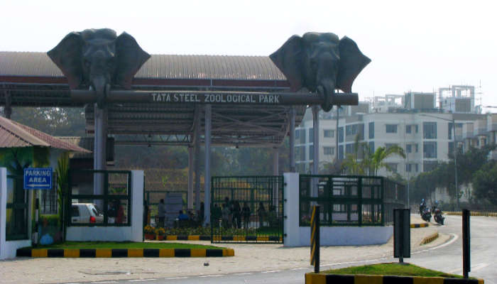 Witness the intriguing wildlife at Tata Steel Zoological Park while exploring places to visit in Jamshedpur