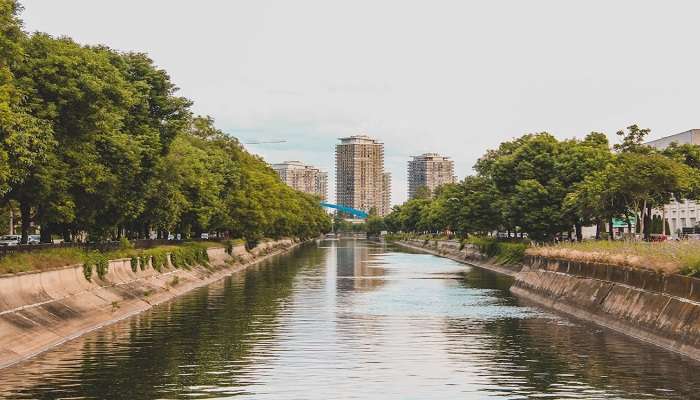 summer in bucharest