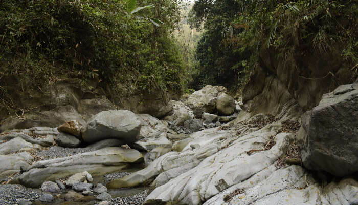 Buxa Tiger Reserve is one of the top tourist places to visit in Dooars for adventure seekers