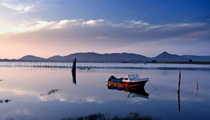 Breathtaking view of Chilka Lake in Rambha, Odisha, one of the must visit places in Gopalpur tourism