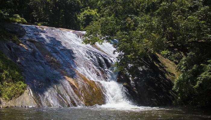 Préparez-vous à explorer la vue naturelle intacte des cascades de Dhoni dans et autour d'Ottapalam.