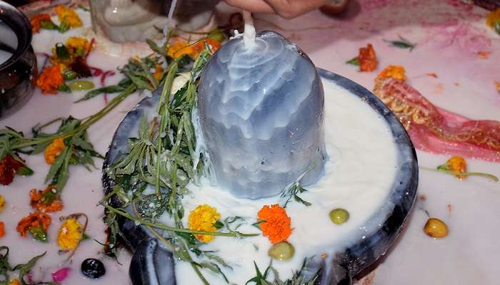 A photo of the occasion of Maha Shivratri, where devotees offer milk on the Shivalinga at Kapileshwar Temple, one of the religious places of Madhubani.
