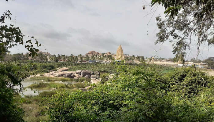 An awesome view from one of the gorgeous place to stay in Hampi, Old Nargila & Chinna's Camping Area