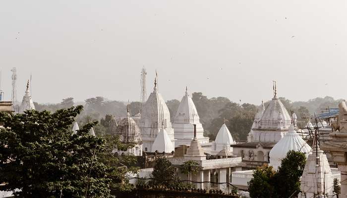 Shikharji Dham, the only Tirthankara of Jainism, the most Bokaro famous place
