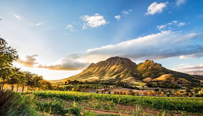Afrique du Sud est la meilleur Lieux à visiter en décembre dans le monde