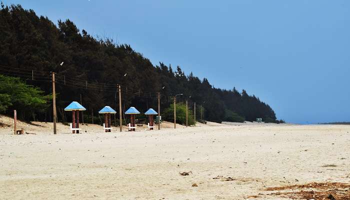 serene beach of Bakkhali