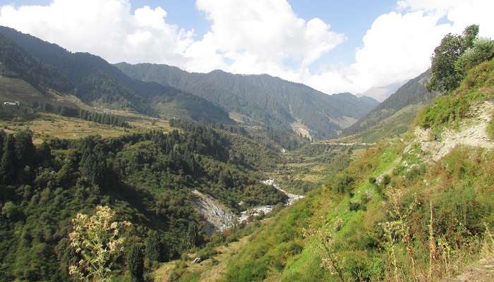 Belle vallée du Barot et paysage forestier alpin à Himachal,