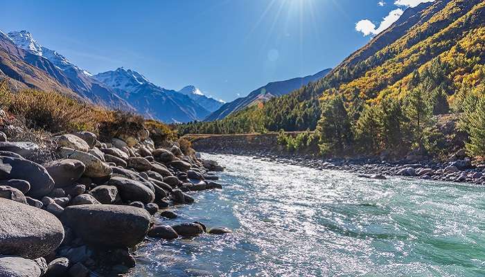 Explore the tranquil landscape in Sangla