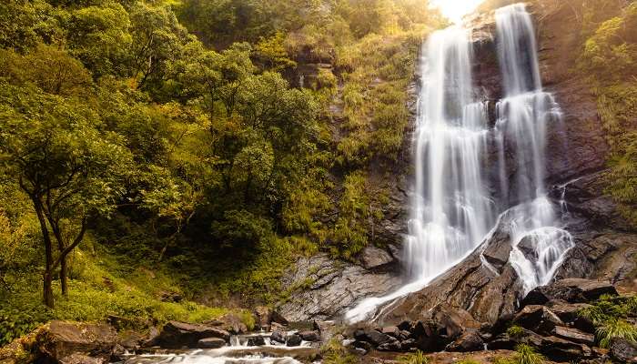 Chikmagalur is known for its rich coffee plantation and is one of the exciting places to visit from Bangalore for 3 days