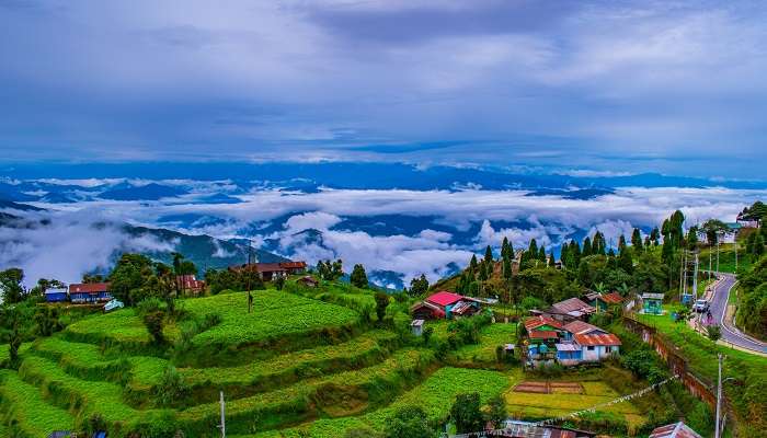 Darjeeling célèbre pour ses plantations de thé et c'est l'un des meilleur lieux à visiter en juillet en Inde 