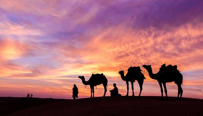 Desert Safari is one of the most exciting things to do in Saudi Arabia