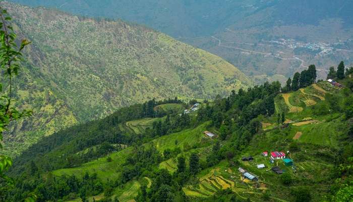 la stations de montagne de Dhanaulti est meilleur lieux à visiter en Uttarakhand
