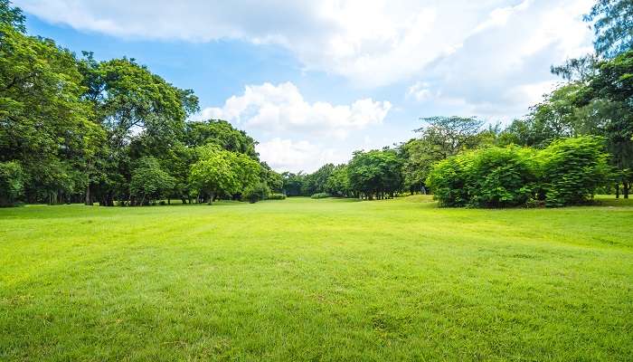 Beautiful view of lush greenery at the park and a partly cloudy blue sky- a perfect setting for soaking up the serenity