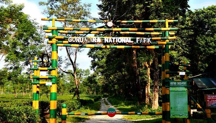 Observez la faune fascinante du parc national de Gorumara, l'un des meilleurs endroits à visiter à Jalpaiguri.
