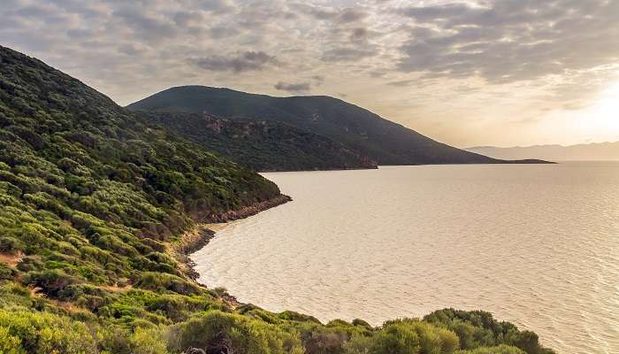 Soak in the serenity of Ichkeul Lake which is one of the best places to visit in Tunisia