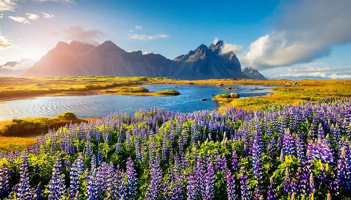 Islande est l'un des meilleur lieux à visiter en octobre dans le monde