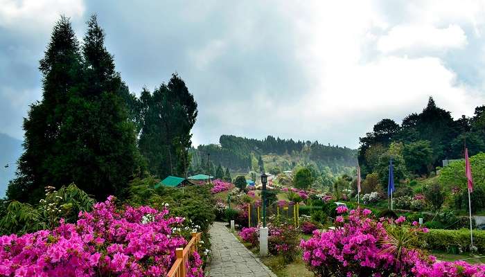 Kalimpong est l'un des meilleur Lieux à visiter en Inde en avril