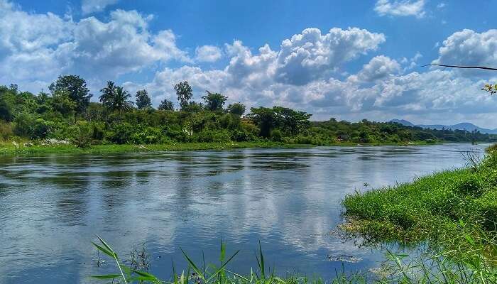 Visit Simsha River in Kanakapura