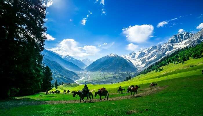 vallée de Kashmir